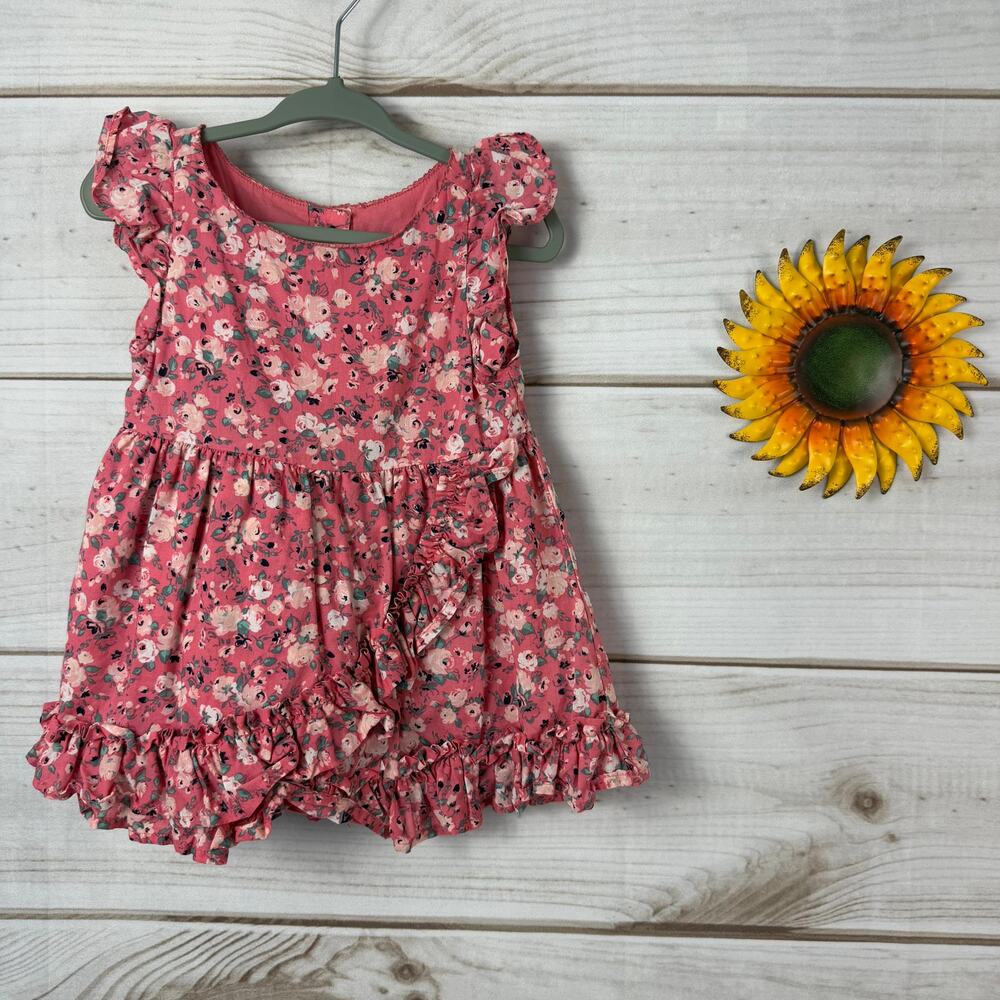 Janie and Jack Girls Pink Floral Ruffle Dress Size‎ 6-12 Months